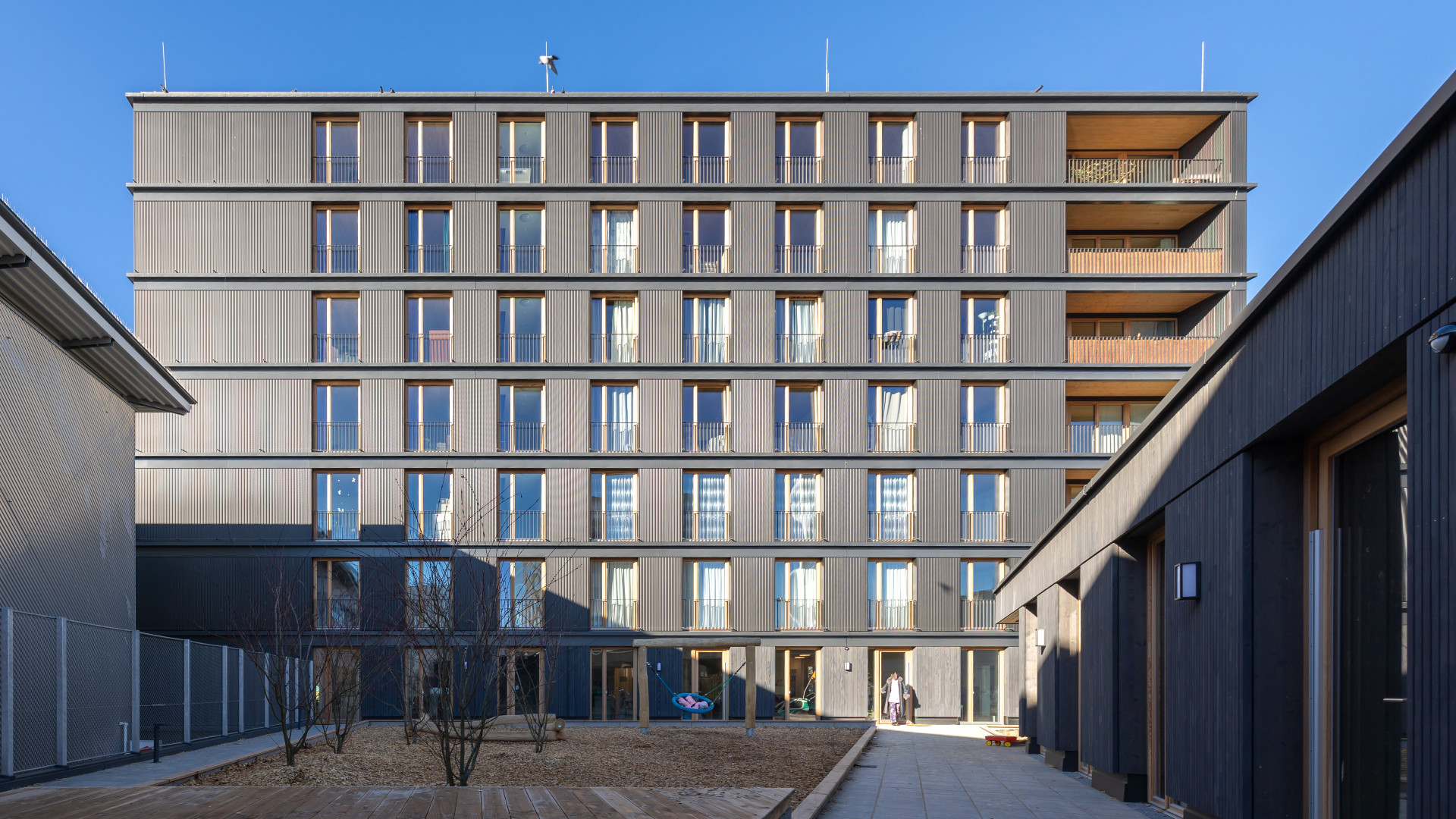 Neubau_Buggi52_Freiburg_Holzbau_4